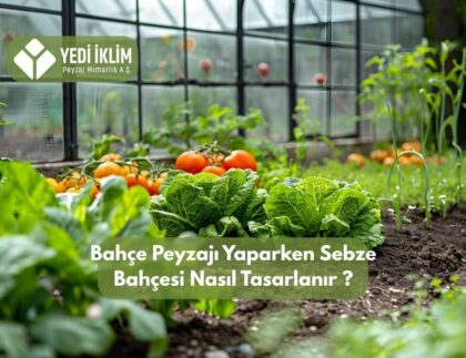 Sebze Bahçesi Nasıl Tasarlanır