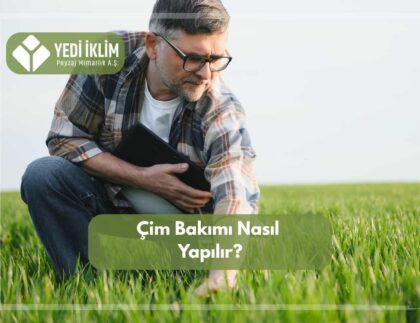 Çim Bakımı Nasıl Yapılır