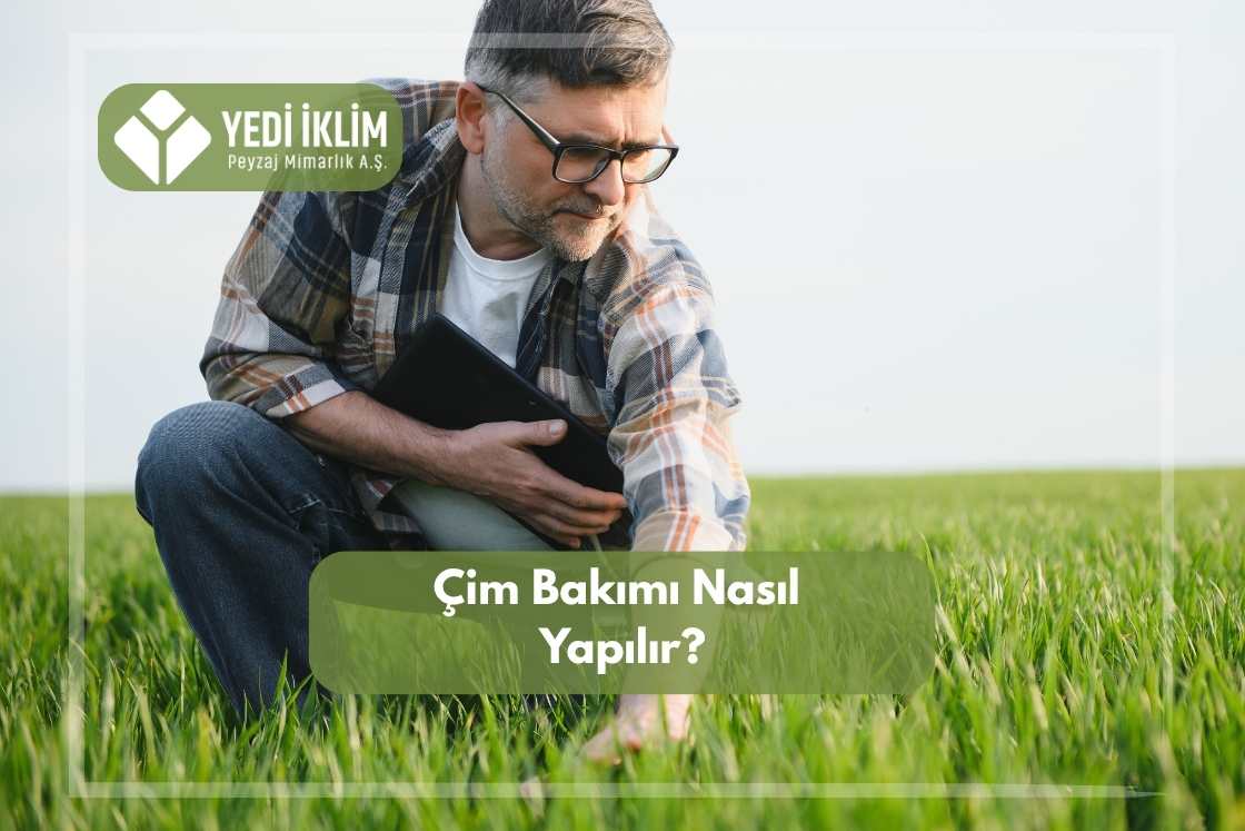 Çim Bakımı Nasıl Yapılır