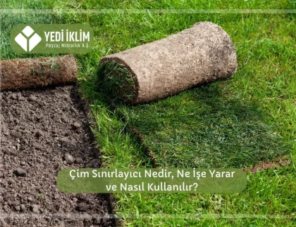 Çim Sınırlayıcı Nedir, Ne İşe Yarar ve Nasıl Kullanılır?