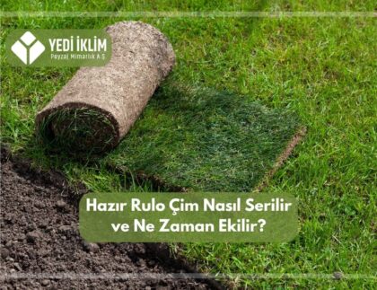Hazır Rulo Çim Nasıl Serilir ve Ne zaman Ekilir
