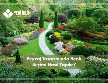 Peyzaj Tasarımında Renk Seçimi Nasıl Yapılır