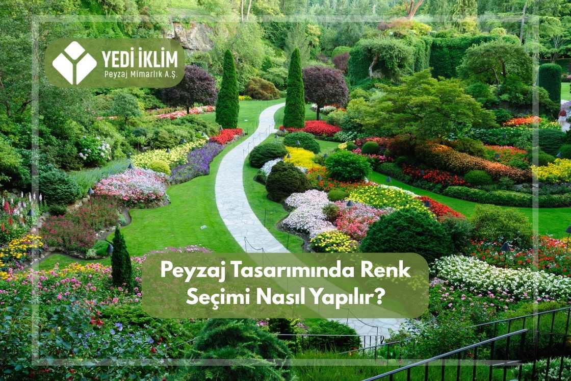 Peyzaj Tasarımında Renk Seçimi Nasıl Yapılır