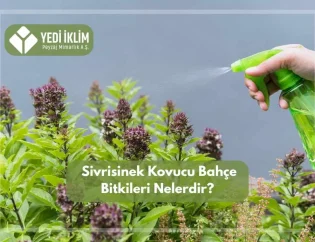 Sivrisinek Kovucu Bahçe Bitkileri Nelerdir?