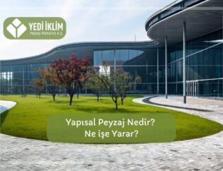 Yapısal Peyzaj Nedir