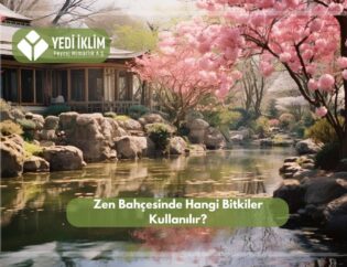 Zen Bahçesinde Hangi Bitkiler Kullanılır