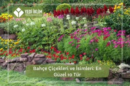 Bahçe Çiçekleri ve İsimleri 1